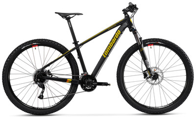 BICI 29 ALLUMINIO MTB FRONT LOMBARDO SESTRIERE 350 LTWO 24V SUNTOUR GAMMA  2022 | eBay