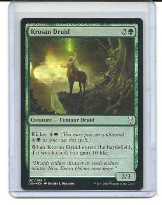 Krosan Druid - Foil - Dominaria - Magic the Gathering