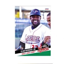 Elian Herrera 2022 Great Lakes Loons baseball team card Bench Coach