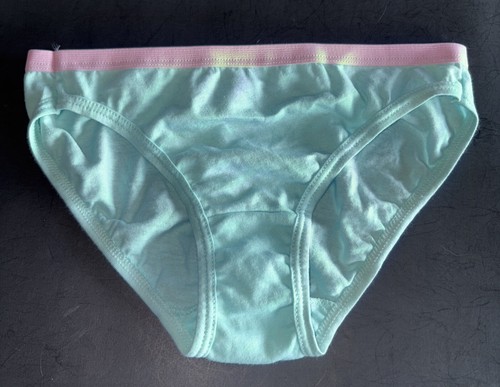 Fruit Of The Loom Girl Size 12 Y2K Low Rise Cotton Bikini Blue Panty Underwear