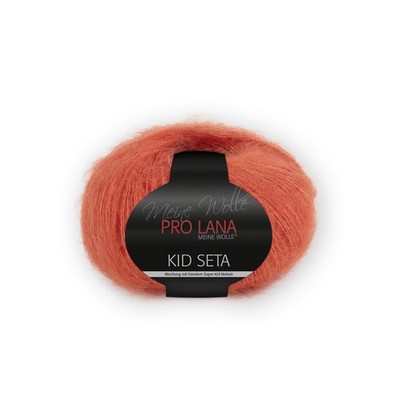 Pro Lana Kid Seta Uni 25g (28) - Restposten (273,20 /kg)