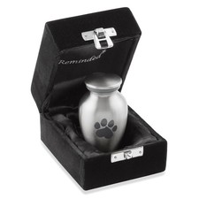 Pet Urn for Dog Cat Ashes - Brass Cremation Memorial Extra Small Silver Urn