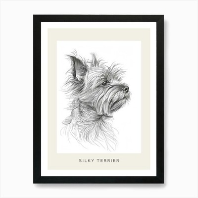 Silky Terrier Dog Line Sketch 3 Pos Framed Wall Art Poster Canvas Print Picture