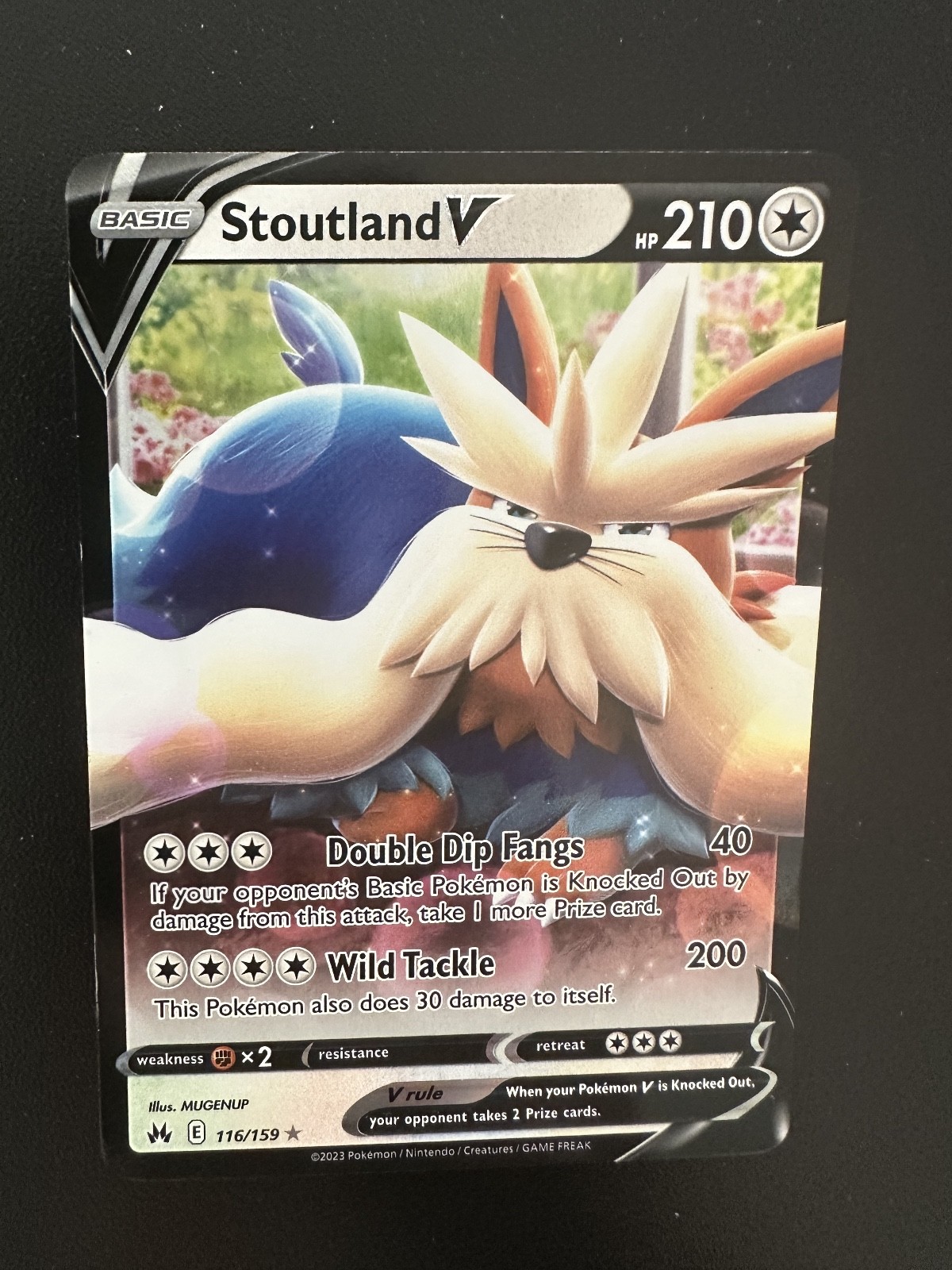 Stoutland V - Crown Zenith (CRZ) 116/159 / Ultra Rare Pokemon TCG