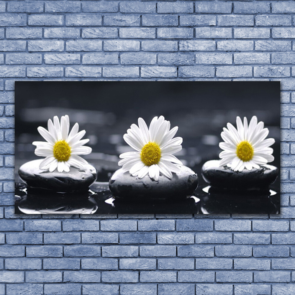 Image sur verre Marguerite 140x70 pour illuminer un mur sombre