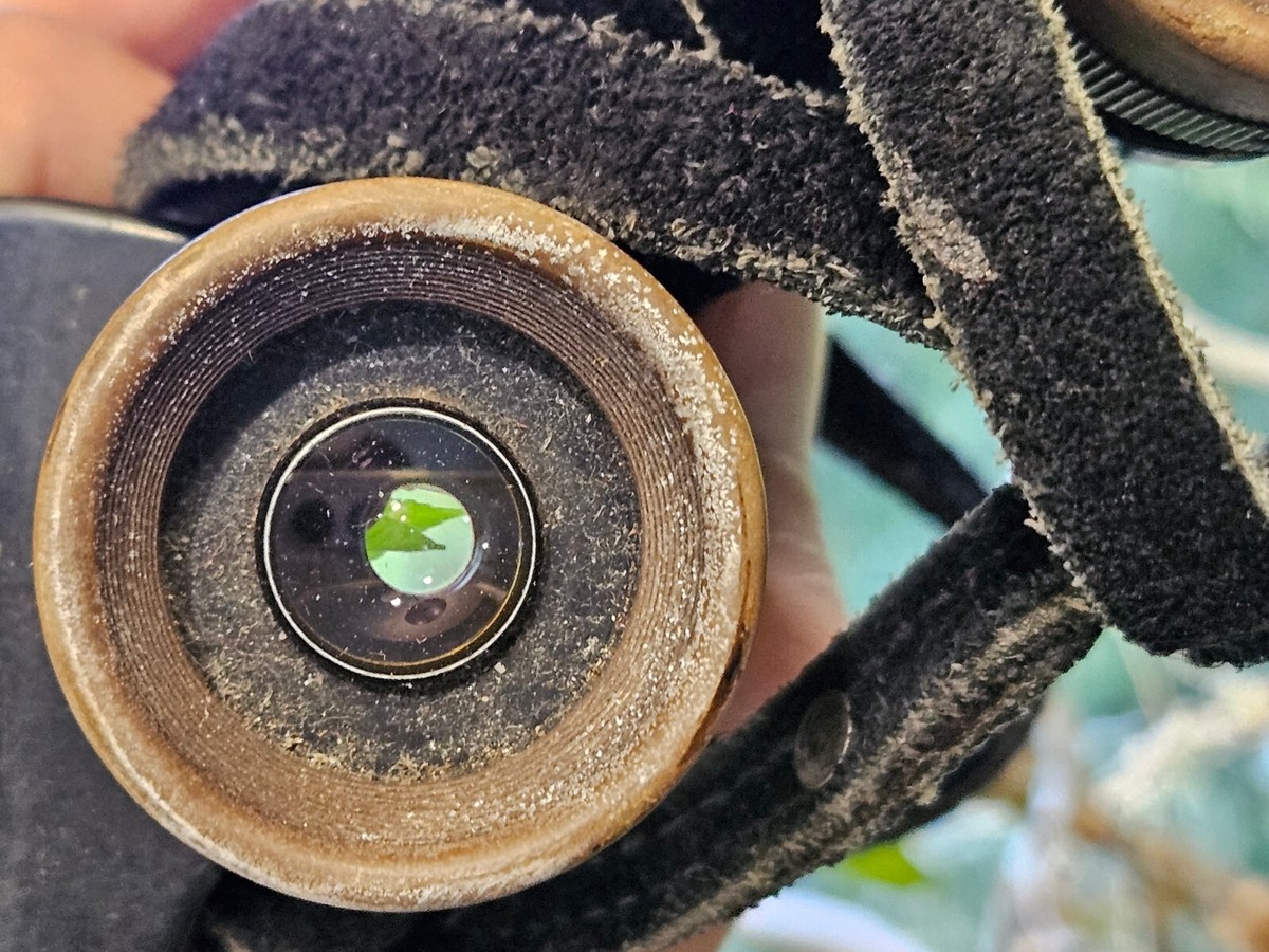 Vintage WW2 Germany E Leitz Wetzlar Bidoxit 6x30 Binoculars Vintage WW2 Germany E Leitz Wetzlar Bidoxit 6x30 Binoculars