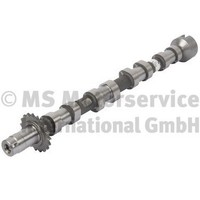 Kolbenschmidt 50007706 Nockenwelle FüR CitroëN, Ds, Fiat, Ford, Ford Australien,