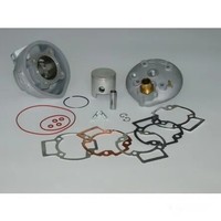 Zylinder Stz 70Ccm 12Mm Kolbenbolzen FüR Piaggio NRG 50 DD Mc3 Power Purejet 05-