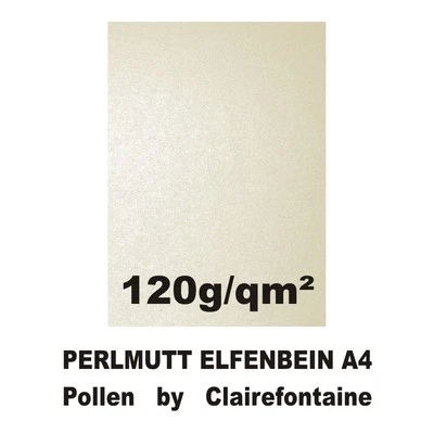 100 Blatt A4 Perlmutt Elfenbein Metallic 120g Papier Pollen Clairefontaine creme