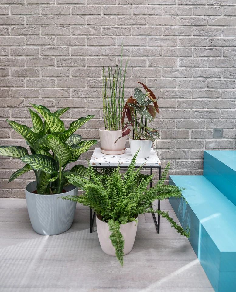 Blumentopf Pflanztopf Übertopf Topf sehr DEKORATIV 11 Farben 7 Größen - Bild 2 von 4