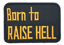 Born To Raise Hell Black Funny Adult Humor Vintage Style Retro Patch Hat Cap