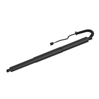 Diederichs 9100590 Gasfeder, Koffer-/Laderaum Links FüR Vw T-ROC (A11, D11) 2018
