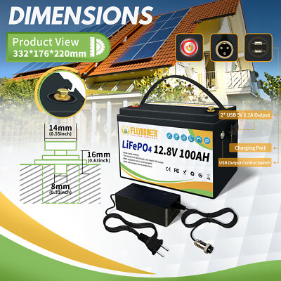 12V 100Ah LiFePO4 Lithium Battery Deep Cycle with BMS for Solar, Marine,Trolling