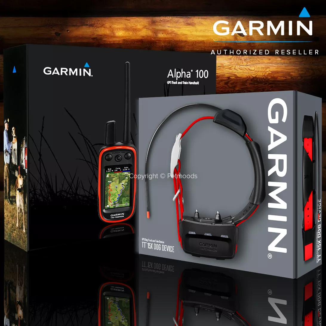 Kit de Repérage GPS pour chien Garmin® Alpha100 et collier T5 mini