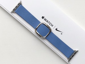 apple watch modern buckle