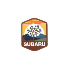 Subaru Joshua Tree Logo Decal Sticker Outback Forester Crosstrek Wrx Genuine Oem