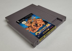 Nintendo NES - Tecmo World Wrestling - PAL - FRA