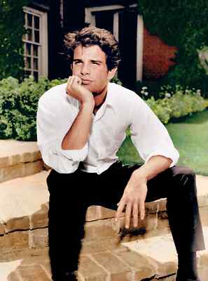 BEAUTIFUL WARREN BEATTY 8X10 Photo