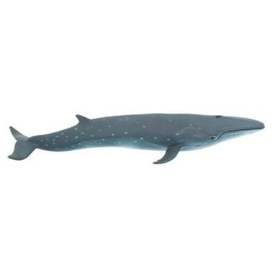 SEI WHALE Animal Figurine Safari Ltd. toy Wild Safar Sea Life Collection