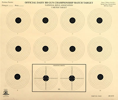 (25) AR-4/10 [AR4/10] NRA Official 5 Meter BB Gun Target, Tagboard [14" x 12"] | eBay