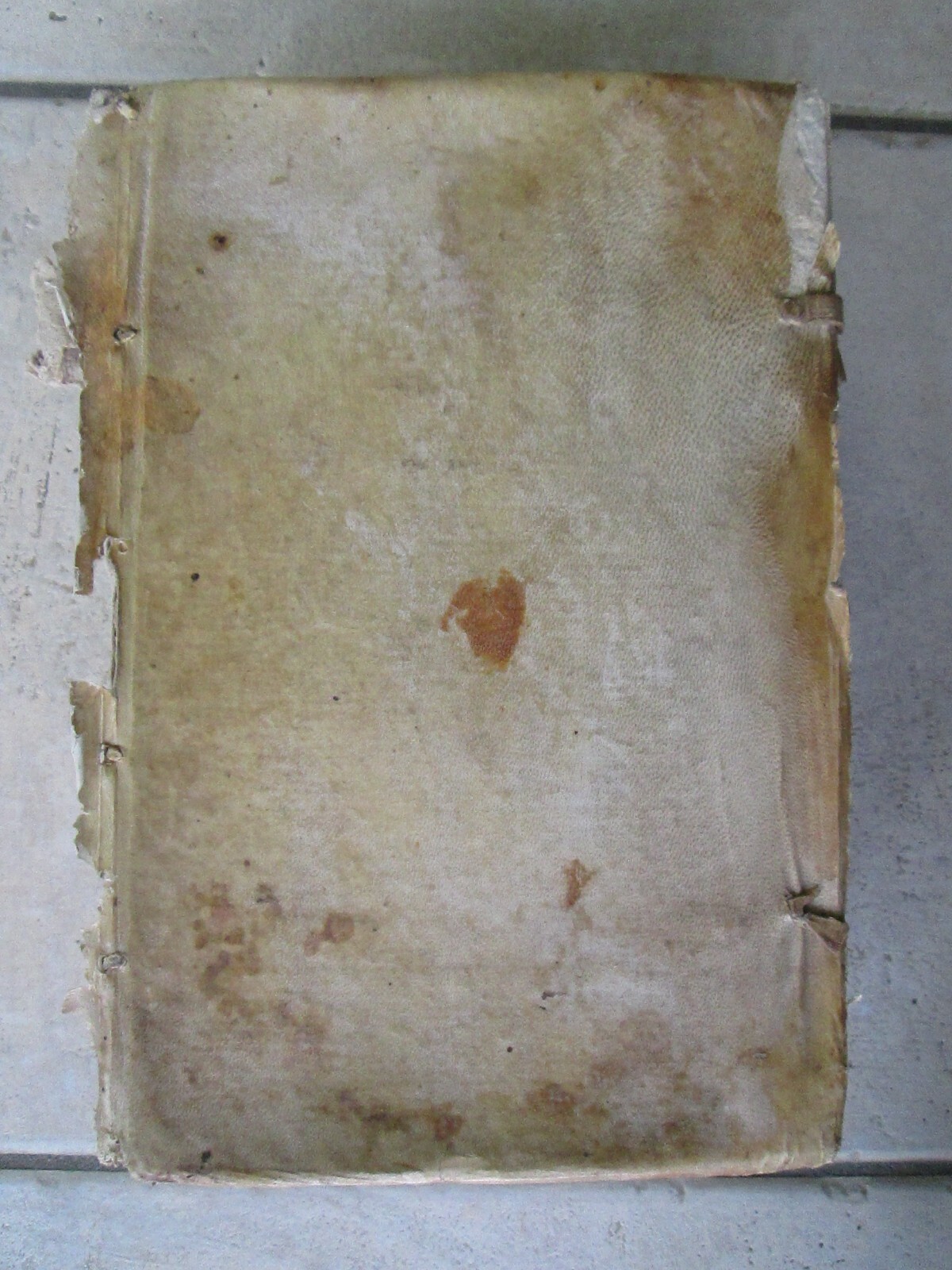 Bild 24 von 24