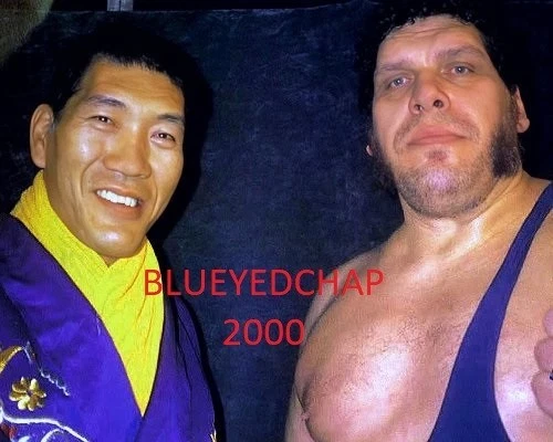 SHOHEI BABA & ANDRE THE GIANT WRESTLER 8 X 10 WRESTLING PHOTO NWA - Image 1 of 1