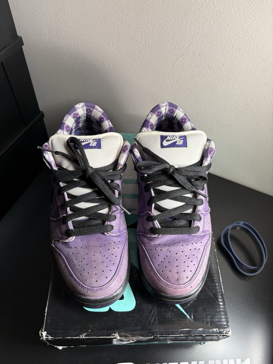 Size 9.5 - Nike SB Dunk Low x Concepts Purple Lobster 192499095862 Size 9.5 - Nike SB Dunk Low x Concepts Purple Lobster 192499095862