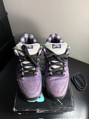 Size 9.5 - Nike SB Dunk Low x Concepts Purple Lobster 192499095862