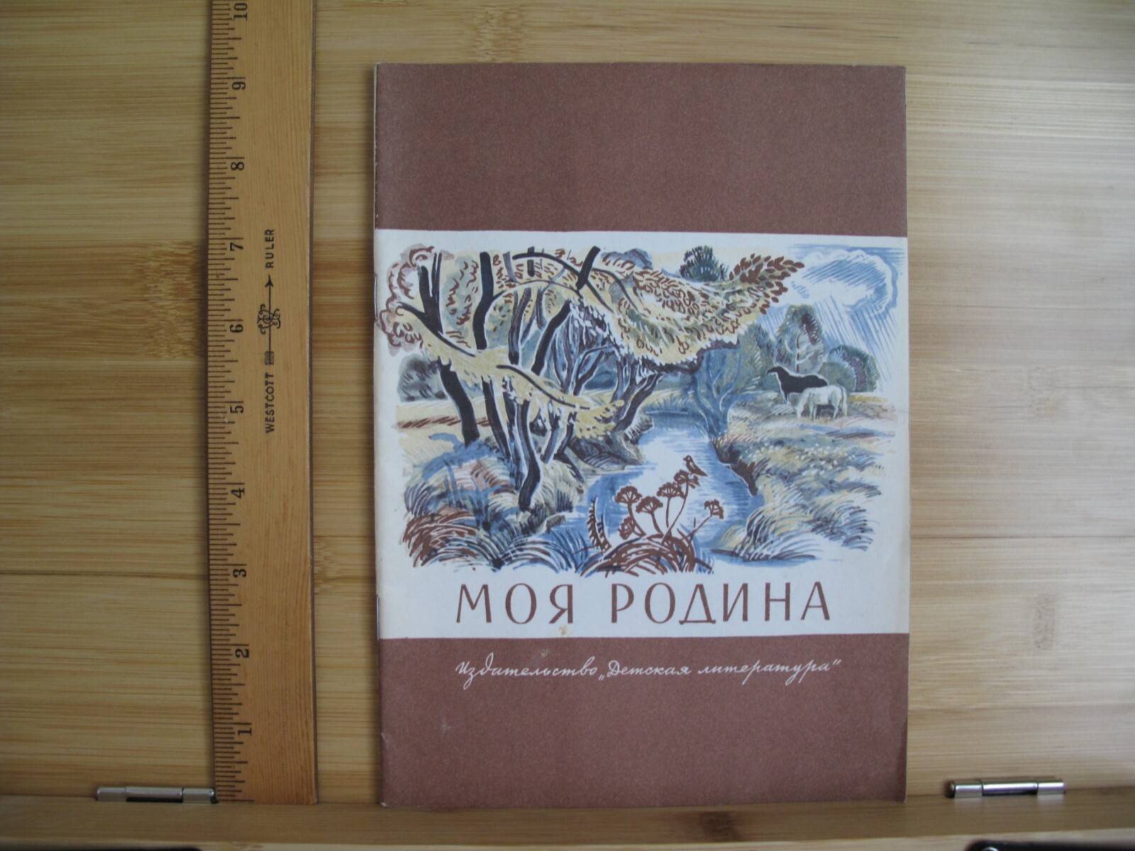 Foto 1 di 6