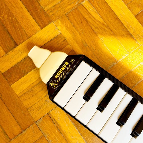 Hohner Melodica Piano 26 (Germany, 1960) vintage diamonica with original case! - Imagen 6 de 10