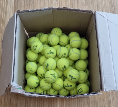 Tennisbälle 30 Stück Wilson WTV Tour guter Zustand 2-3 Monate alt