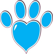 3inx3in Turquoise Heart Paw Print Bumper Sticker Vinyl Vehicle Window Sticker