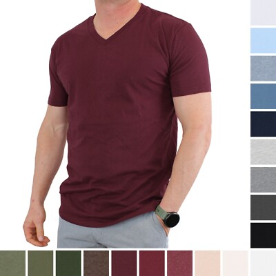 True Classic Men's V-Neck Shirt Short Sleeve Ultra Soft Tagless Cotton Tee