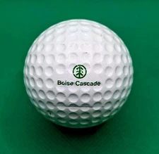 Vintage Boise Cascade logo golf ball Wood Products Company