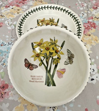 Vintage 1972 Portmeirion Botanic Garden Matching SMALL NARCISSUS Bowl & Plate