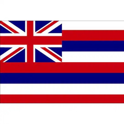 Annin Flagmakers 141260 Hawaii State Flag, 3X5 Ft