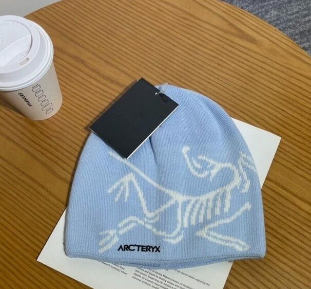 ARC'TERY bird head toque beanie Orca ② Bird Head Toque | Arc'teryx