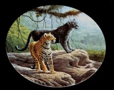 The Edwin M Knowles 1989 The Jaguar by Lee Cable Decorative Plate # 3291 D