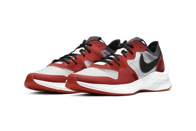 nike ceramic dunk