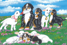 Bernese Mountain dog print 8 x 10 , " Spring Lambs" Signed by artist