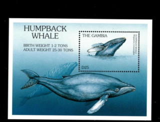 VINTAGE CLASSICS Gambia 1997 Whales Souvenir Stamp sheet Scott 1873 MNH