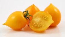 15 LIL PEEPS MICRO DWARF TOMATO SEEDS ~ AEROGARDEN ~ 2026 ~ NON-GMO