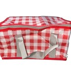 Insulated Picnic Bag Zip Red Box Beach Winter Good Delivery Camping Supermarket — photo 3