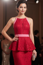 CHAMCERY Dress Size 8 Retro Red & Pink Bodycon Lace Fit & Flare Wedding Party