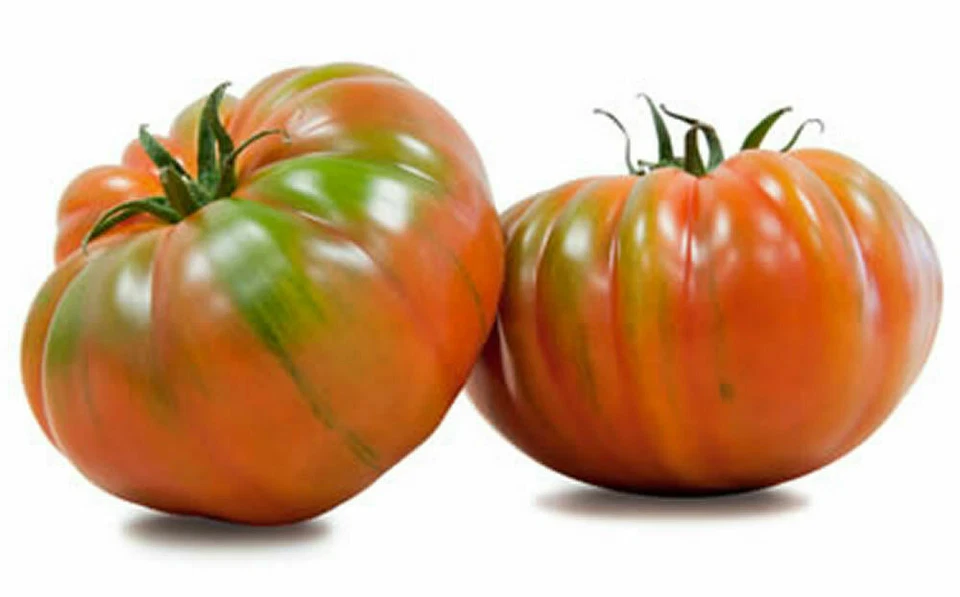 Tomate RAF Marmande ( 50 semillas ) seeds - Huerto Jardin Hortalizas super
