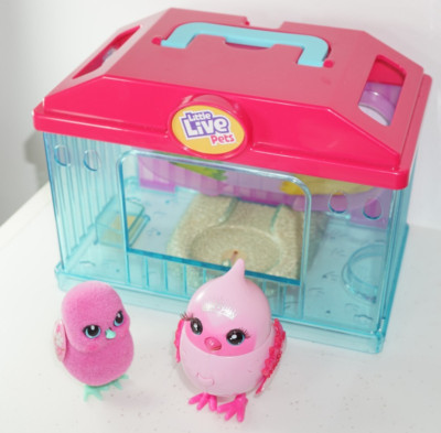 Little Live Pets Lil' Bird Serie Spielzeug Diadem Tweets interaktives Birdie & Küken