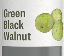 GREEN BLACK WALNUT - Healthy Circulation, Intestinal & Skin Support Tincture USA