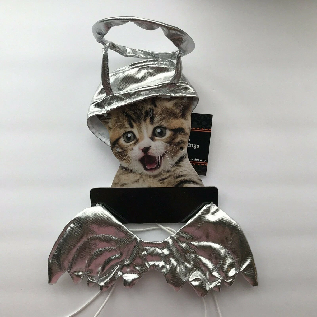 Cat 2025 angel costume