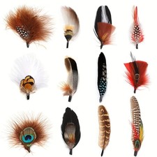 Natural Peacock Feathers Colorful Real Feathers for Fedora Cowboy Party Hats DIY