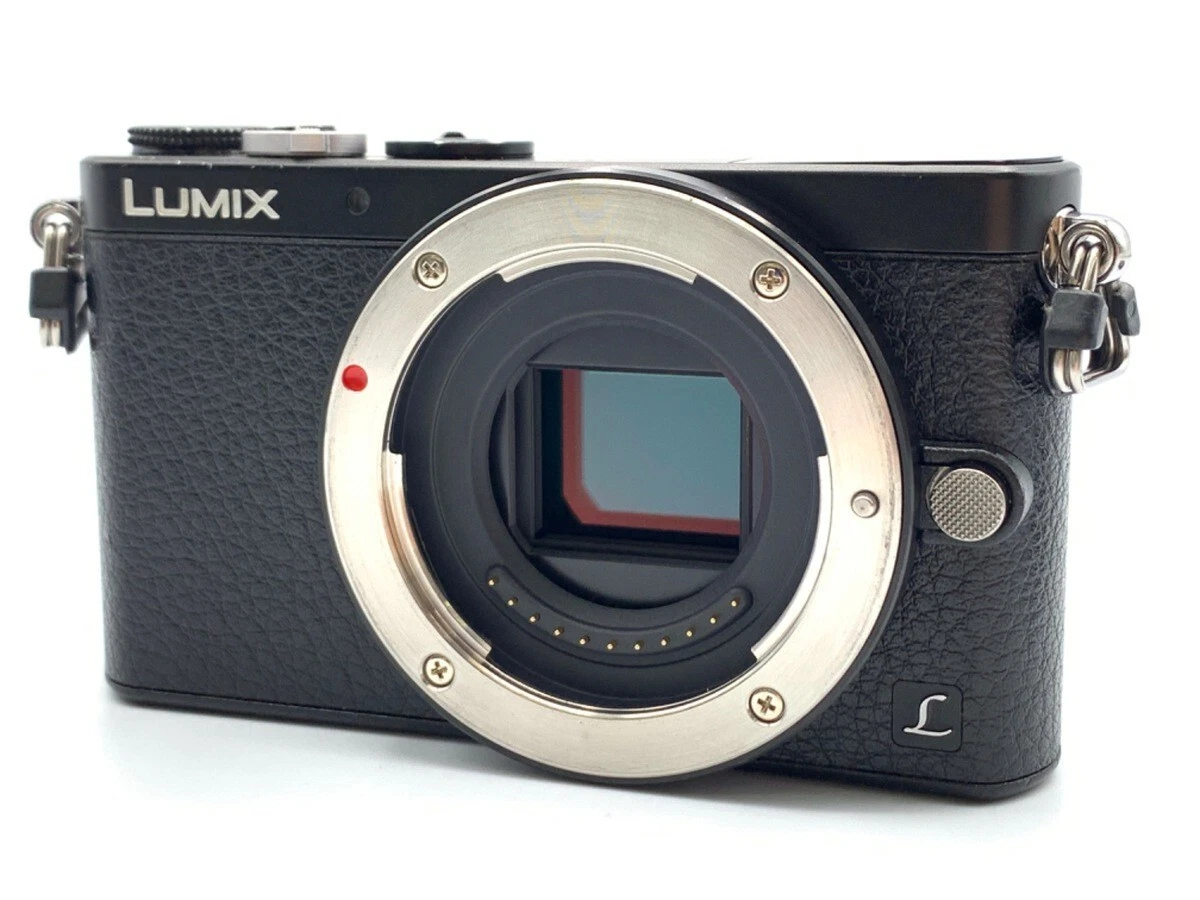 Panasonic Lumix DMC-GM1 Camera Body Black Used from JP | eBay